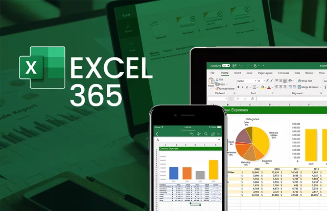 Excel 365 Profesional